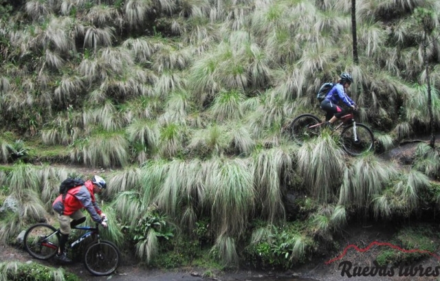  在大自然中拍摄 